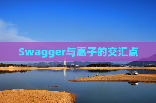 Swagger与惠子的交汇点